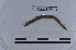  ( - EW-LT-0296)  @11 [ ] CreativeCommons - Attribution Non-Commercial Share-Alike (2018) Thibaud Decaëns Universite Montpellier, CEFE Lab