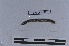  ( - EW-LT-0297)  @11 [ ] CreativeCommons - Attribution Non-Commercial Share-Alike (2018) Thibaud Decaëns Universite Montpellier, CEFE Lab