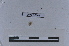 ( - EW-LT-0302)  @11 [ ] CreativeCommons - Attribution Non-Commercial Share-Alike (2018) Thibaud Decaëns Universite Montpellier, CEFE Lab