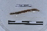  ( - EW-LT-0309)  @11 [ ] CreativeCommons - Attribution Non-Commercial Share-Alike (2018) Thibaud Decaëns Universite Montpellier, CEFE Lab