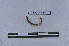  ( - EW-LT-0311)  @11 [ ] CreativeCommons - Attribution Non-Commercial Share-Alike (2018) Thibaud Decaëns Universite Montpellier, CEFE Lab