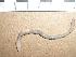  ( - EW-CA-106)  @14 [ ] CC-0 (2010) Unspecified Unspecified