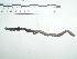  ( - EW-CA-024)  @11 [ ] Copyright (2010) Unspecified Unspecified