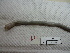  ( - IEOL4283)  @12 [ ] CreativeCommons - Attribution Non-Commercial Share-Alike (2012) Carlos Fragoso INECOL