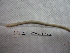  ( - IEOL4320)  @12 [ ] CreativeCommons - Attribution Non-Commercial Share-Alike (2012) Carlos Fragoso INECOL