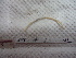  ( - IEOL4334)  @11 [ ] CreativeCommons - Attribution Non-Commercial Share-Alike (2012) Carlos Fragoso INECOL