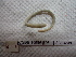  ( - IEOL4338)  @12 [ ] CreativeCommons - Attribution Non-Commercial Share-Alike (2012) Carlos Fragoso INECOL