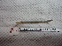  ( - IEOL4352)  @12 [ ] CreativeCommons - Attribution Non-Commercial Share-Alike (2012) Carlos Fragoso INECOL