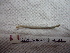 ( - IEOL4355)  @12 [ ] CreativeCommons - Attribution Non-Commercial Share-Alike (2012) Carlos Fragoso INECOL