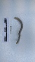  ( - EW_AM_0111)  @11 [ ] by-nc-sa (2022) Thibaud.Decaens@cefe.cnrs.fr Universite Montpellier
