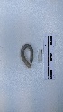  ( - EW_AM_0112)  @11 [ ] by-nc-sa (2022) Thibaud.Decaens@cefe.cnrs.fr Universite Montpellier