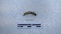  ( - EW_AM_0128)  @11 [ ] by-nc-sa (2022) Thibaud.Decaens@cefe.cnrs.fr Universite Montpellier
