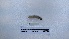  ( - EW_AM_0130)  @11 [ ] by-nc-sa (2022) Thibaud.Decaens@cefe.cnrs.fr Universite Montpellier