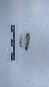  ( - EW_AM_0131)  @11 [ ] by-nc-sa (2022) Thibaud.Decaens@cefe.cnrs.fr Universite Montpellier