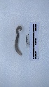  ( - EW_AM_0175)  @11 [ ] by-nc-sa (2022) Thibaud.Decaens@cefe.cnrs.fr Universite Montpellier