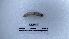  ( - EW_AM_0205)  @11 [ ] by-nc-sa (2022) Thibaud.Decaens@cefe.cnrs.fr Universite Montpellier