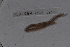  ( - EW_SAV_069)  @12 [ ] Copyright (2012) Thibaud Decaens Laboratoire ECODIV, Univ Rouen