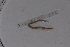  ( - EW_SAV_071)  @12 [ ] Copyright (2012) Thibaud Decaens Laboratoire ECODIV, Univ Rouen