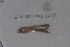  ( - EW_SAV_073)  @12 [ ] Copyright (2012) Thibaud Decaens Laboratoire ECODIV, Univ Rouen