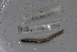  ( - EW_SAV_086)  @12 [ ] Copyright (2012) Thibaud Decaens Laboratoire ECODIV, Univ Rouen
