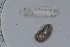  ( - EW-NOU2-117)  @12 [ ] Copyright (2011) Thibaud Decaens Laboratoire ECODIV, Univ Rouen