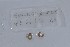  ( - EW-NOU2-206)  @12 [ ] Copyright (2011) Thibaud Decaens Laboratoire ECODIV, Univ Rouen