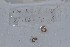  ( - EW-NOU2-210)  @12 [ ] Copyright (2011) Thibaud Decaens Laboratoire ECODIV, Univ Rouen