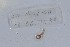  ( - EW-NOU2-211)  @12 [ ] Copyright (2011) Thibaud Decaens Laboratoire ECODIV, Univ Rouen
