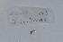  ( - EW-NOU2-212)  @12 [ ] Copyright (2011) Thibaud Decaens Laboratoire ECODIV, Univ Rouen