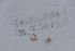  ( - EW-NOU2-214)  @12 [ ] Copyright (2011) Thibaud Decaens Laboratoire ECODIV, Univ Rouen
