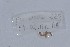  ( - EW-NOU2-220)  @12 [ ] Copyright (2011) Thibaud Decaens Laboratoire ECODIV, Univ Rouen