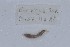  ( - EW-NOU2-302)  @12 [ ] Copyright (2011) Thibaud Decaens Laboratoire ECODIV, Univ Rouen