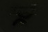  ( - EW-NOU2-315)  @12 [ ] Copyright (2011) Thibaud Decaens Laboratoire ECODIV, Univ Rouen