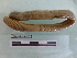  (HaplotaxidaGEN sp.TDC - EW-NOU3-0022)  @11 [ ] CreativeCommons - Attribution Non-Commercial Share-Alike (2018) Thibaud Decaens Universite Montpellier, CEFE Lab