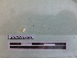  ( - EW-NOU3-0006)  @11 [ ] CreativeCommons - Attribution Non-Commercial Share-Alike (2018) Thibaud Decaens Universite Montpellier, CEFE Lab