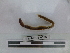  ( - EW-NOU3-0093)  @11 [ ] CreativeCommons - Attribution Non-Commercial Share-Alike (2018) Thibaud Decaens Universite Montpellier, CEFE Lab