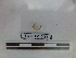 ( - EW-NOU3-0055)  @11 [ ] CreativeCommons - Attribution Non-Commercial Share-Alike (2018) Thibaud Decaens Universite Montpellier, CEFE Lab