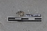  ( - EW-PNPC-0041)  @11 [ ] CreativeCommons - Attribution Non-Commercial Share-Alike (2018) Thibaud Decaens CEFE Lab