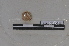  ( - EW-PNPC-0100)  @11 [ ] CreativeCommons - Attribution Non-Commercial Share-Alike (2018) Thibaud Decaens CEFE Lab