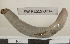  ( - EW-RES19-0014)  @11 [ ] CreativeCommons - Attribution  CBG Photography Group Centre for Biodiversity Genomics