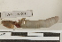  ( - EW-RES19-0015)  @11 [ ] CreativeCommons - Attribution  CBG Photography Group Centre for Biodiversity Genomics