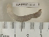  ( - EW-RES19-0018)  @11 [ ] CreativeCommons - Attribution  CBG Photography Group Centre for Biodiversity Genomics