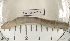  ( - EW-RES19-0027)  @11 [ ] CreativeCommons - Attribution  CBG Photography Group Centre for Biodiversity Genomics