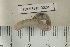  ( - EW-RES19-0028)  @11 [ ] CreativeCommons - Attribution  CBG Photography Group Centre for Biodiversity Genomics