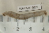  ( - EW-RES19-0029)  @11 [ ] CreativeCommons - Attribution  CBG Photography Group Centre for Biodiversity Genomics