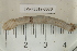  ( - EW-RES19-0030)  @11 [ ] CreativeCommons - Attribution  CBG Photography Group Centre for Biodiversity Genomics