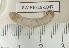  ( - EW-RES19-0047)  @11 [ ] CreativeCommons - Attribution  CBG Photography Group Centre for Biodiversity Genomics