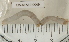  ( - EW-RES19-0049)  @11 [ ] CreativeCommons - Attribution  CBG Photography Group Centre for Biodiversity Genomics