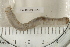  ( - EW-RES19-0050)  @11 [ ] CreativeCommons - Attribution  CBG Photography Group Centre for Biodiversity Genomics