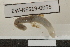  ( - EW-RES19-0055)  @11 [ ] CreativeCommons - Attribution  CBG Photography Group Centre for Biodiversity Genomics
